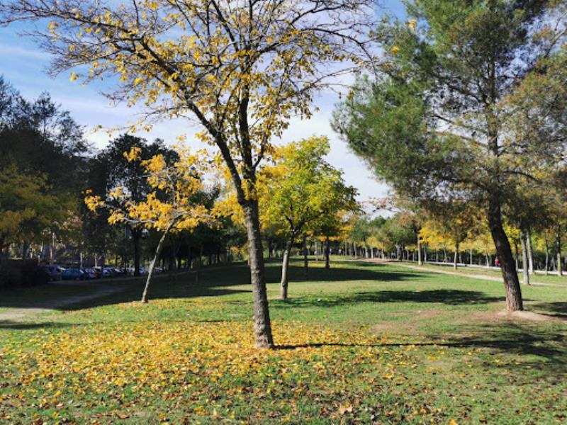 Cuña Verde de O'Donnell Park