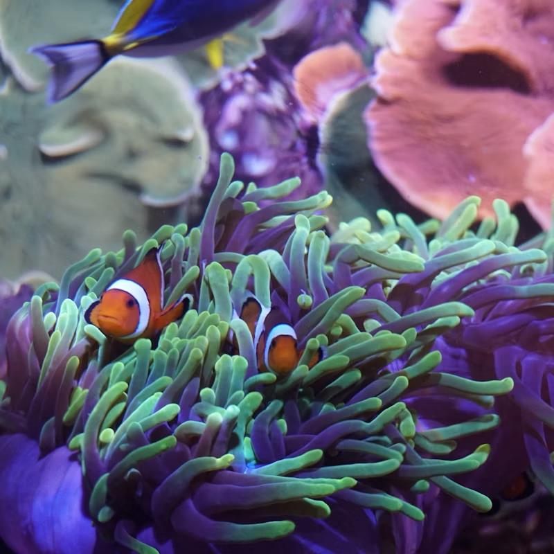 塞维利亚水族馆
