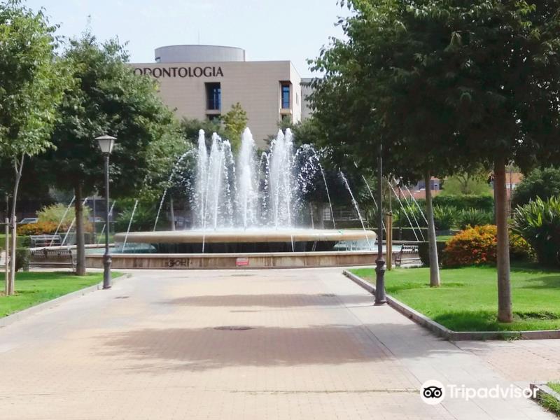 Parque De Los Perdigones