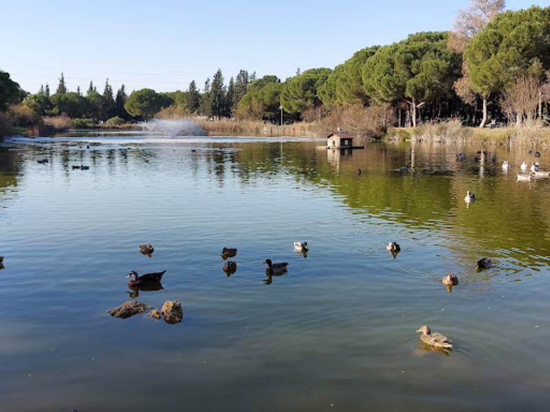 Parque Infanta Elena