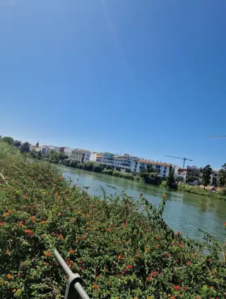 Jardines De Chapina
