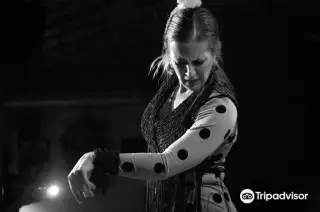 Tablao Flamenco Albayzin