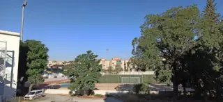 Calistenia Park