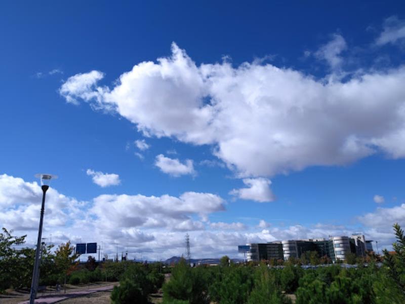 Colegio de Veterinarios Park