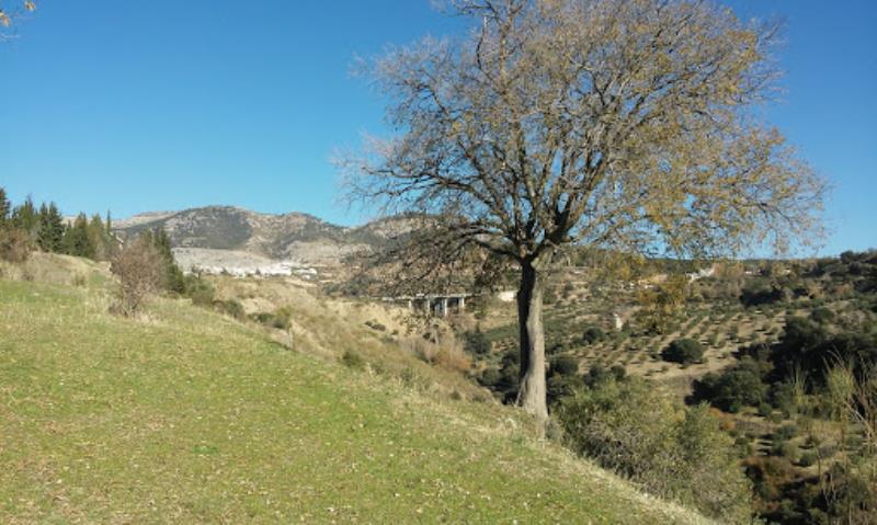 Polideportivo Parque Nueva Granada