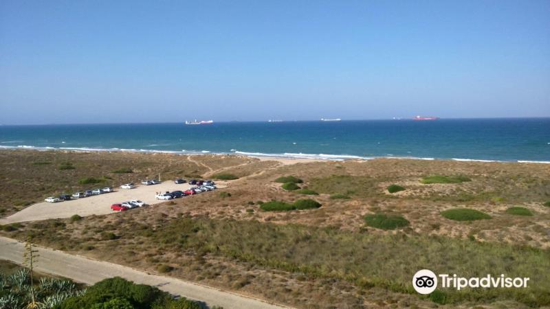 Platja del Saler