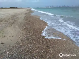 Platja de l'Arbre del Gos