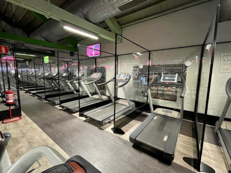 GO fit Segalerva