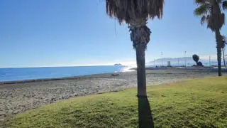 Jardines Alberto Suárez Pipi