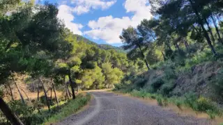 Inicio Sendero Picapedreros