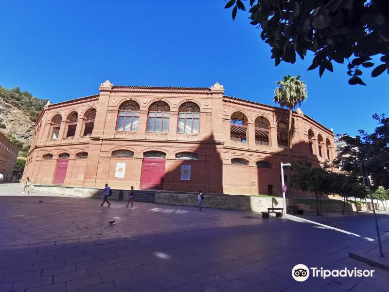 Plaza de toros de La Malagueta
