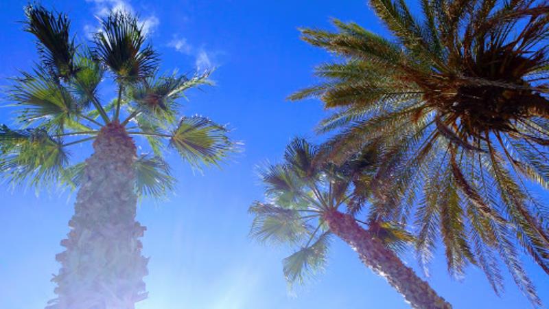 Letras de Playa La Misericordia