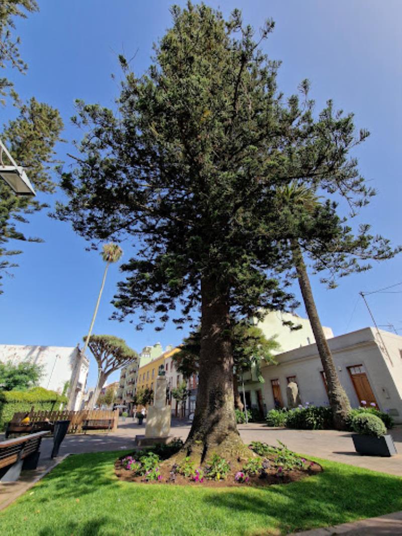 Square of the Supreme Council of the Canaries