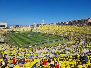 Anexo Estadio De Gran Canaria