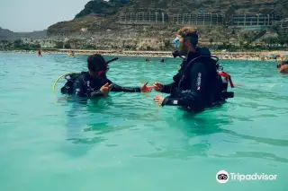 Puerto Rico Diving