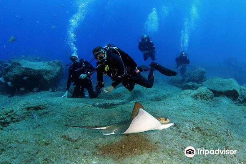 One Two Dive