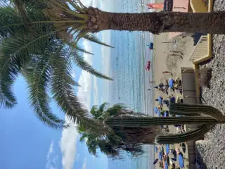 Olympic Beach Gym
