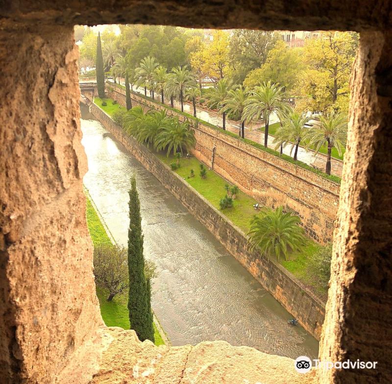 Parc de Sa Riera