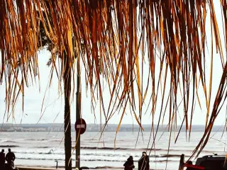 Bonaona Mallorca - Surf School & Surf Cafe Bar