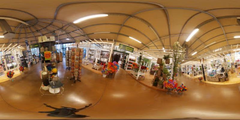 Viveverde: gardening, decorating and pets