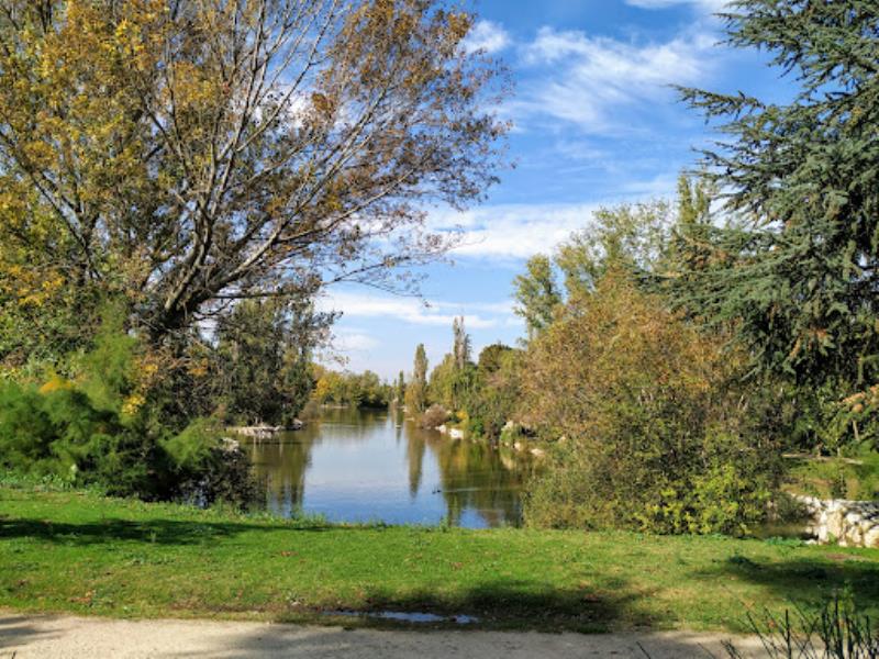 The park Soto Mostoles