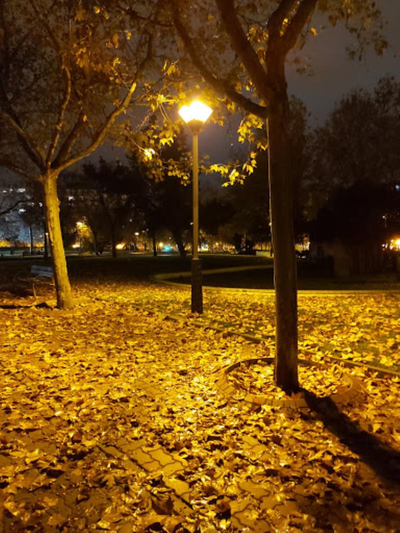 Parque de la Paz