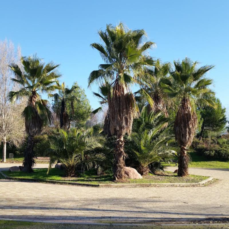 Parque Dehesa Boyal