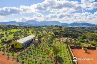 LA Organic Experience