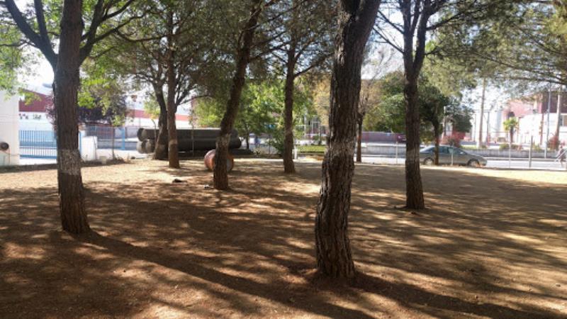 Parque Canino