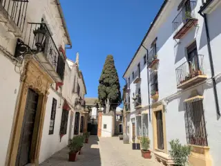Oficina Municipal de Turismo de Ronda