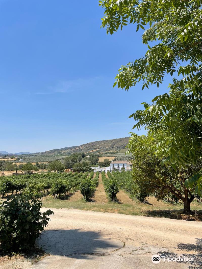 Bodega Garcia Hidalgo