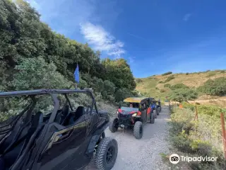 TopBuggy