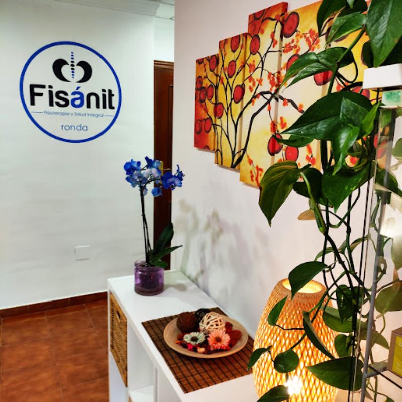 FISÁNIT RONDA Centro de Fisioterapia y Salud Integral