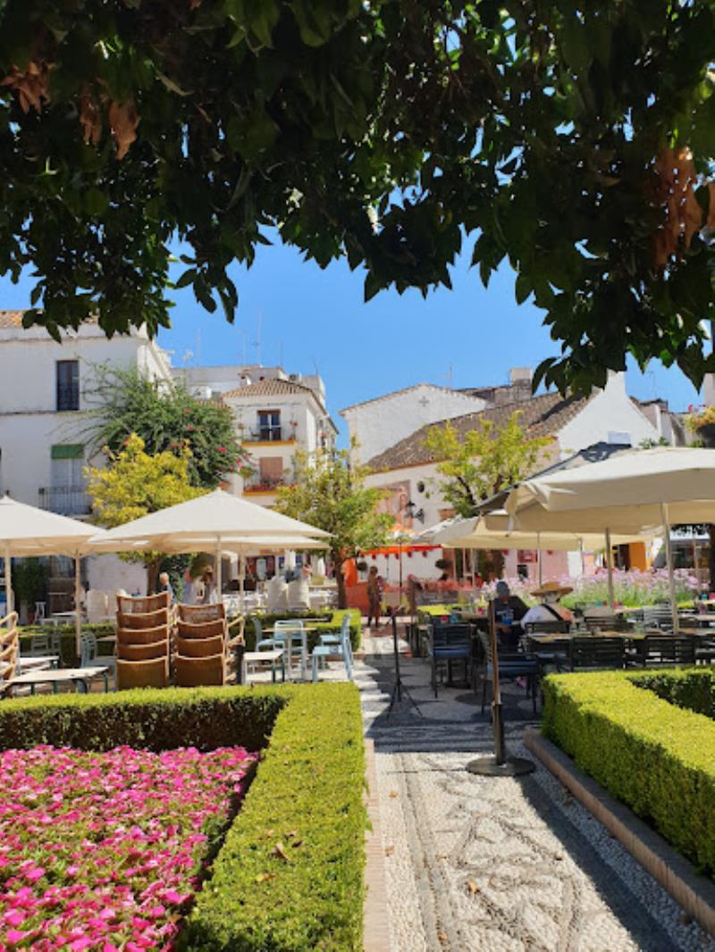 Taste Marbella Food Tours - Tapas Tours & Wine Tours
