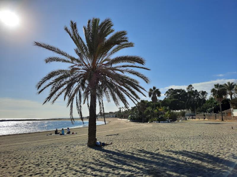 Playa Nueva Andalucía