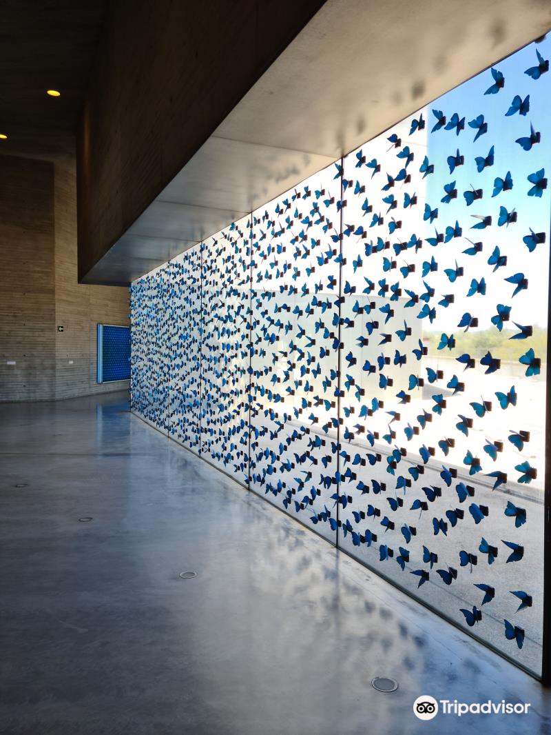 Centro de Creacion Contemporanea de Andalucia (C3A)