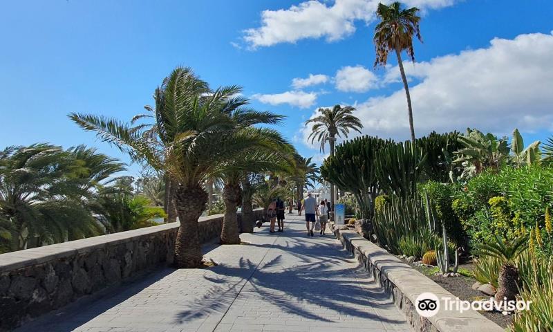 Paseo Maritimo