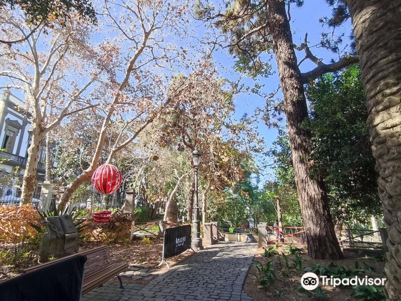 Parque Municipal de Arucas
