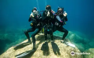 Dive & Dive Centro de Buceo