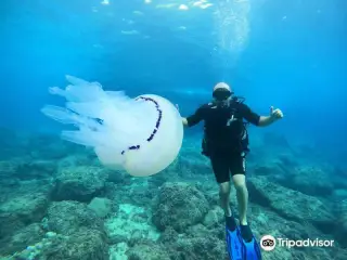 Buceo Les Basetes en Calpe