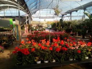 Centro de Jardineria Truvi SL