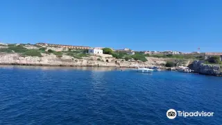 Yellow Catamarans