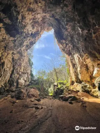 Cova des Coloms