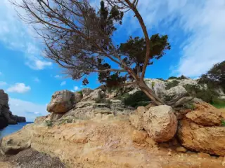 Platja de Cales Piques