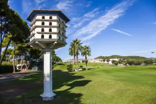 Club De Golf Terramar