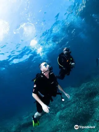 SuperDive Tossa