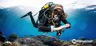 Tossasub Diving Center