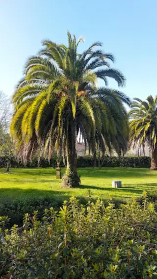 Parque de Vista Alegre (Finca Simeón)