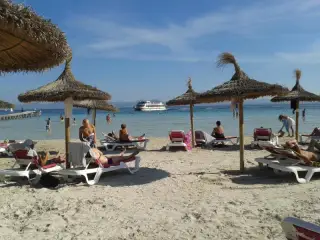 Auditori d'Alcudia