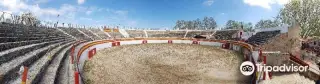 Stierkampfarena von Alcúdia